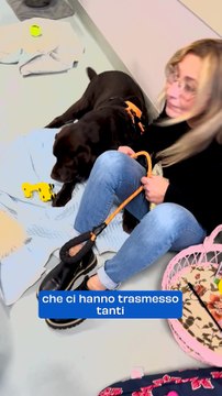 Cani e gatti in visita ai loro padroni ricoverati all'Ospedale di Ravenna