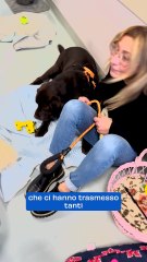Cani e gatti in visita ai loro padroni ricoverati all'Ospedale di Ravenna