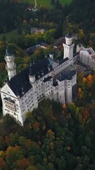 💕After being abandoned, part 1every man wanted to possess her—until the Wolf King showed up and saved her!