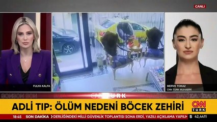 Otopsi raporu açıklandı! Böcek ailesinin ölüm nedeni belli oldu