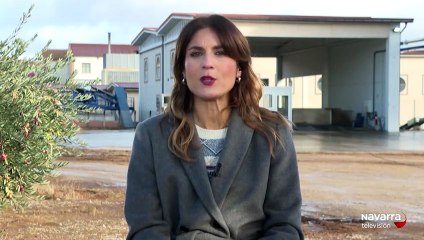 Javier Urriza, Medalla de Oro al Mérito Deportivo 2025