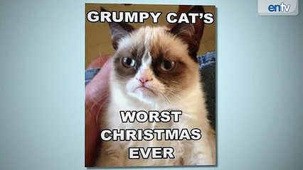 Grumpy Cat’s Worst Movie Ever First Look