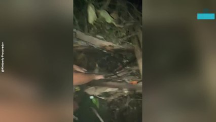 Sisters Rescue Puppy Trapped in Trash and Sand After Typhoon Uwan