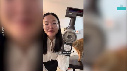Funny Cat Loves Being Pet With a Vacuum