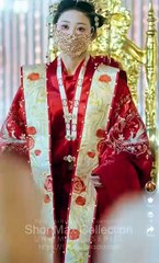 You Should've Been Nicer