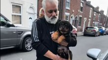 Boy gets home and discovers he has been gifted the cutest Rottweiler puppy