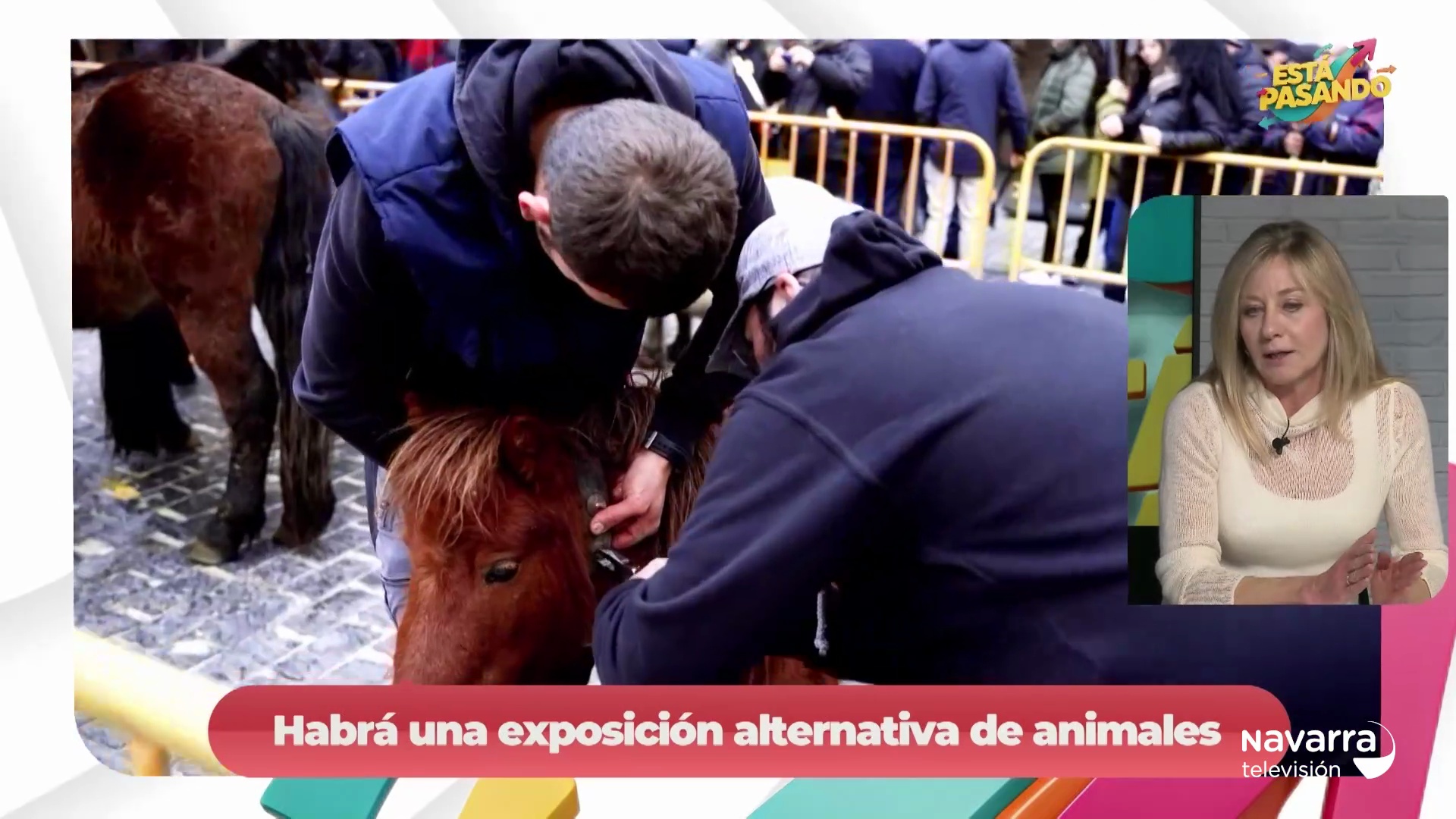 Las ferias de San Andrés de Estella-Lizarra llegan con novedades