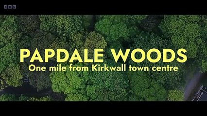 The Man the Mask Orkney Murder S01E01