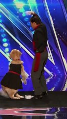 Dancing dog makes Simon howl of laughter | AGT
