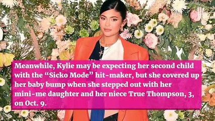 Travis Scott Dotes On Daughter Stormi, 3, As They Enjoy A Pumpkin Patch Together