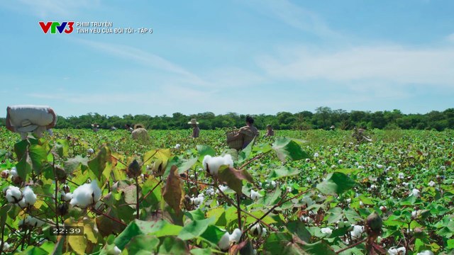 TÌNH YÊU CỦA ĐỜI TÔI - TẬP 6 - VTV3 THUYẾT MINH - PHIM COLOMBIA - TINH YEU CUA DOI TOI