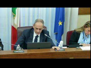 Roma - Audizione Ciucci, Società Stretto di Messina (26.11.25)