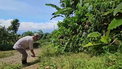 ext-publireportaje-telecable-261125