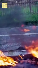 DEAR EX KISS MY CROWN