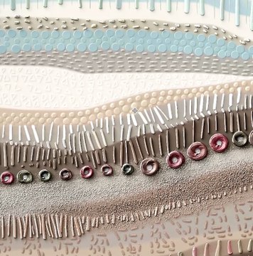 Abstract digital painting featuring organic patterns and textures in calming earth tones, creating a tranquil decorative art piece