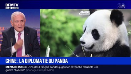 Départ des pandas du zoo de Beauval: "Je pense qu'il faut les renouveler, il faut une rotation", estime Jean-Pierre Raffarin, ancien Premier ministre