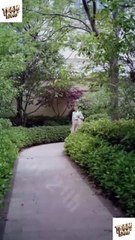 My CEO, Stop Seducing Me (2024) - Full Movie