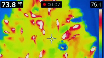 ISLA DEL TERROR - PELICULAS+ - PELICULA DE ACCION EN ESPANOL LATINO