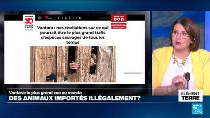 Le zoo Vantara en Inde accusé d'importer illégalement des espèces protégées