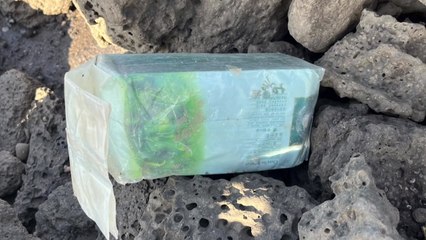 제주 해안가에서 16번째 마약 의심 물체 발견 / YTN