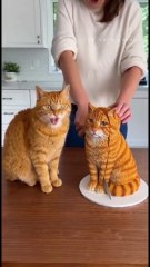 Pets run away the Moment They See Their Look-Alike Cake 🎂