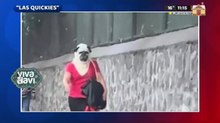 Captan a mujer 'pug' en las calles de México