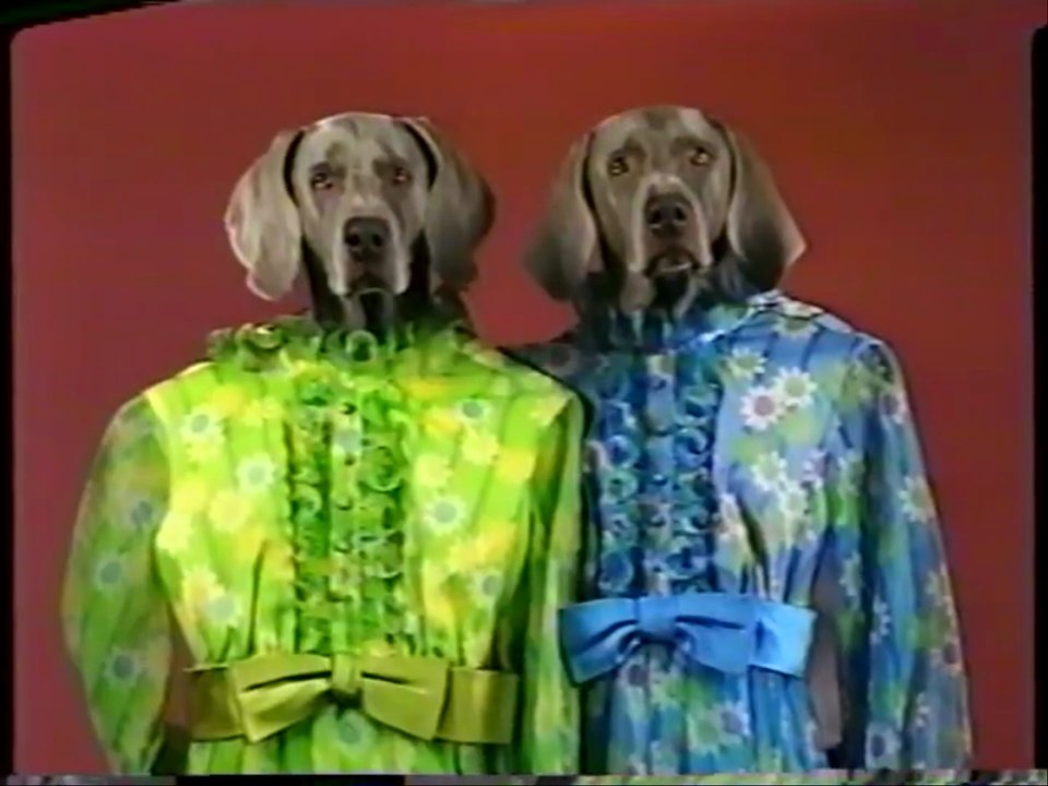 Sesame Street - William Wegman's Mother Goose (full 1997 Video Demo Version VHS)