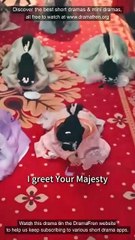 Accidentally Seducing the Emperor [Full]