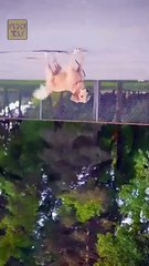 The Cure for a Broken Heart | Full Movie HD - Best Drama ShortFilms Hot Romantic Love