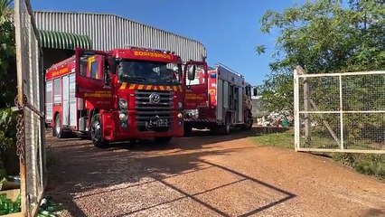 Incêndio é registrado em esteira do Ecoponto do Bairro Brasília em Cascavel