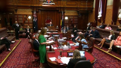 Allegations surface of NSW premier’s decade old undeclared donations