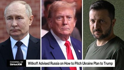 Witkoff Advised Russia on How to Pitch Ukraine Plan to Trump