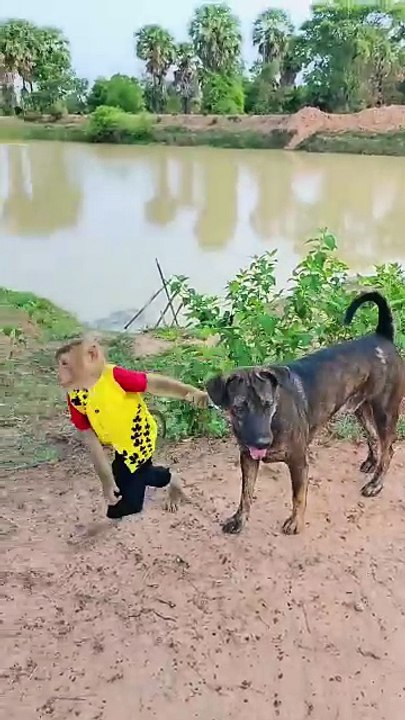Viral video SokYaa, OG, Pao & Mom Are Famous Around The World #shorts #anime #trend #edit
