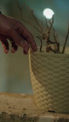 ¡Un momento romántico que te robará el corazón! 😍