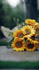 The Oscar Winner Is My EX | Full Movie HD - Best ShortFilms Drama Hot