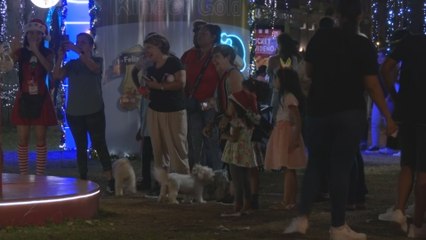 Un domingo para la familia: 26 parques encenderán su Navidad al mismo tiempo