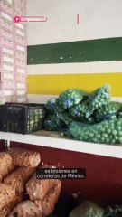 🚚⚠️ Entre robos, extorsiones y cobros ilegales, mover mercancía en México se ha vuelto un riesgo 📦