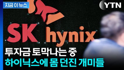 엔비디아 흔들리자 같이 휘청...'개미무덤' 되는 하이닉스 [지금이뉴스] / YTN