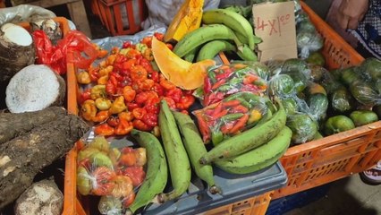 Vendedores en Colón luchan por sobrevivir ante el alza en las legumbres