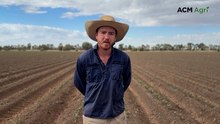 Murrami grower's water-wise decision delivers cotton boom