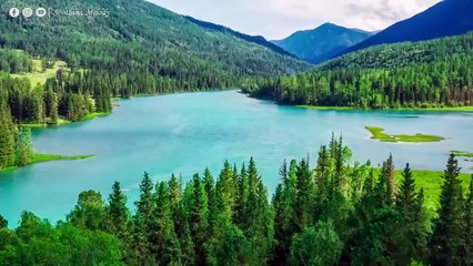 Музыка успокаивает, успокаивает нервную систему и радует душу - целебная музыка