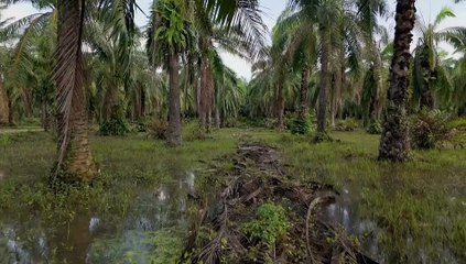 Abandoned Engineering - Season 15 Episode 9 - Agent Zigzag