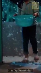 La pequeña princesa de las plantas Adorada por to (Doblado) en Español