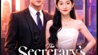 The Secretary's Choice Chinese Drama