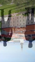 The Mob Boss Substitute #Dramabox #shortdrama