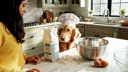 Gog funny moments 🤣 😄 😂 😆 😅