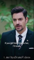 [Hot] My CEO Stop Seducing Me_Netshort - #abel