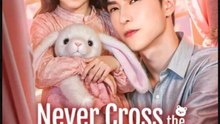 Never Cross the Plush Girl Chinese Drama - English Sub