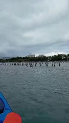 LAGUNA RESTRINGA ISLA MARGARITA  DE VENEZUELA