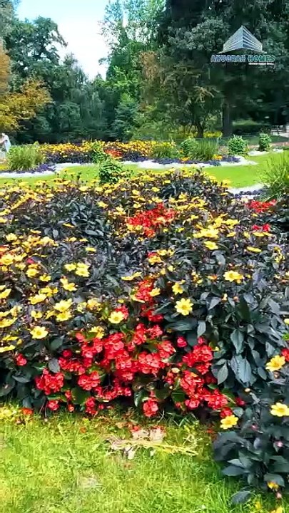 Industrial Plot Near Jewar Airport  Best Investment Opportunity